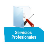 Servicios Profesionales